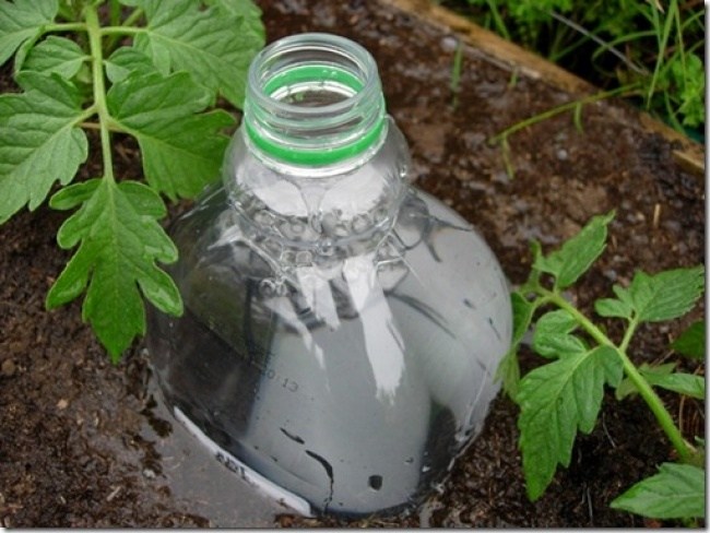 DIY drip irrigation system